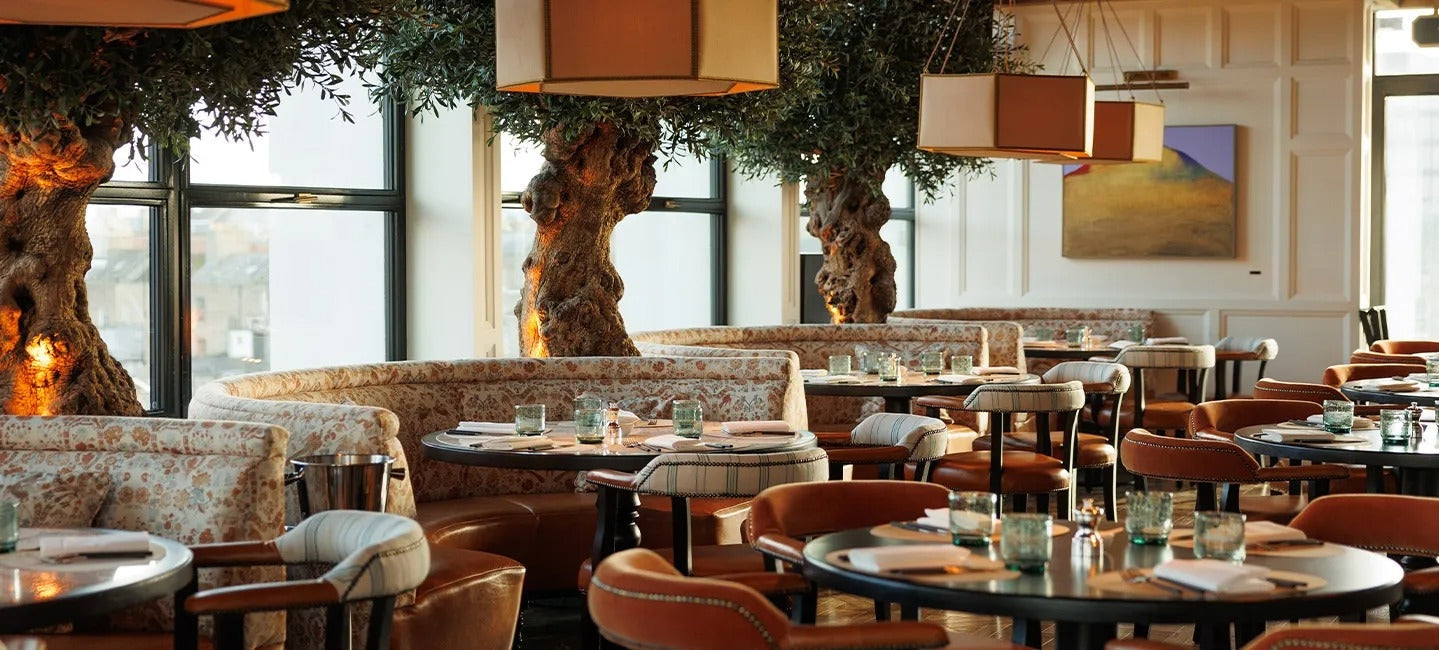 Dining Chairs - NUEMA